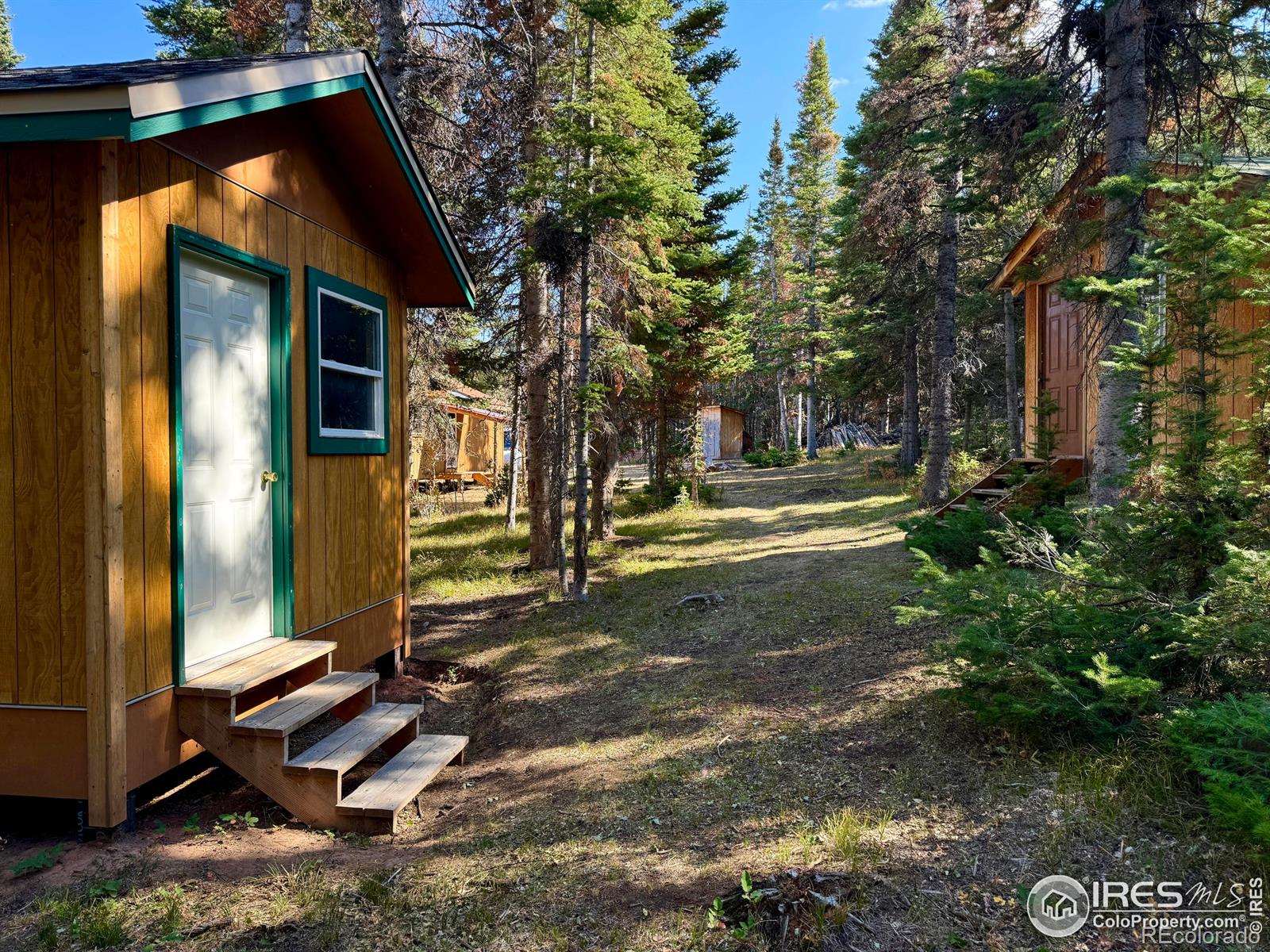 MLS Image #30 for 235  forb lane,red feather lakes, Colorado