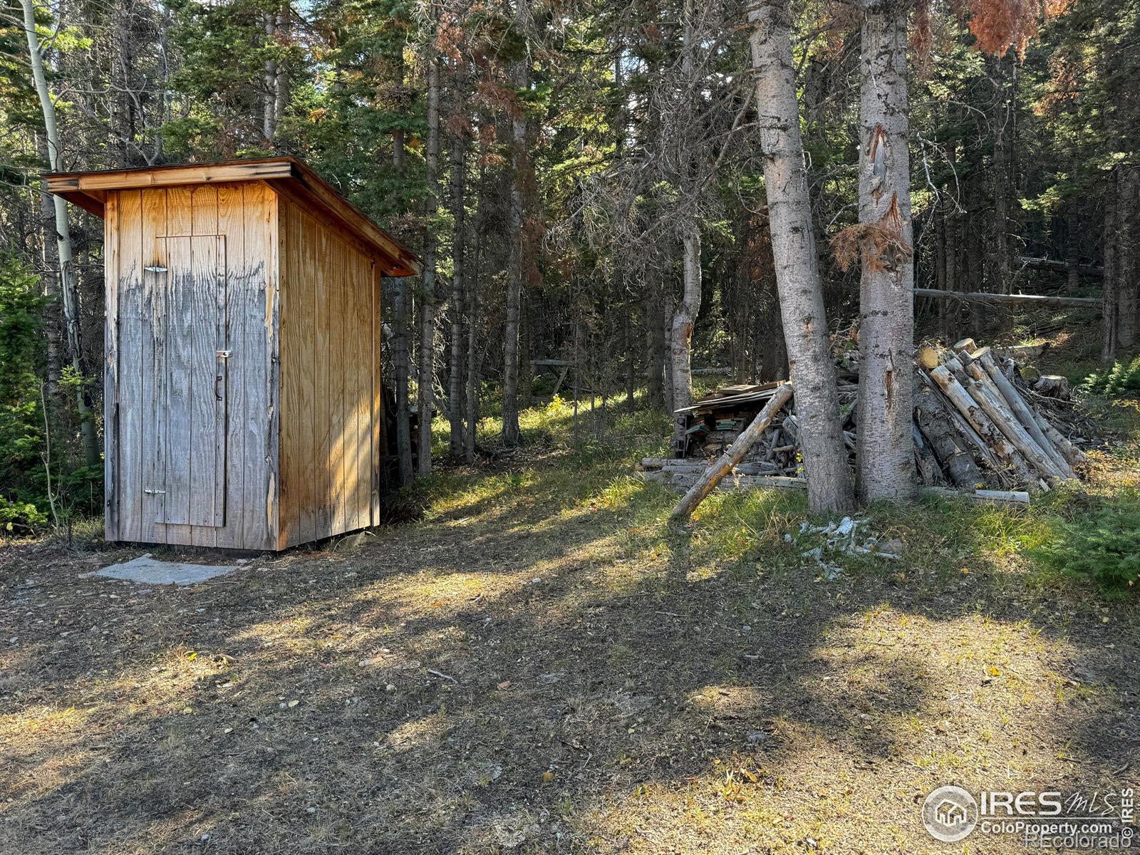 MLS Image #37 for 235  forb lane,red feather lakes, Colorado