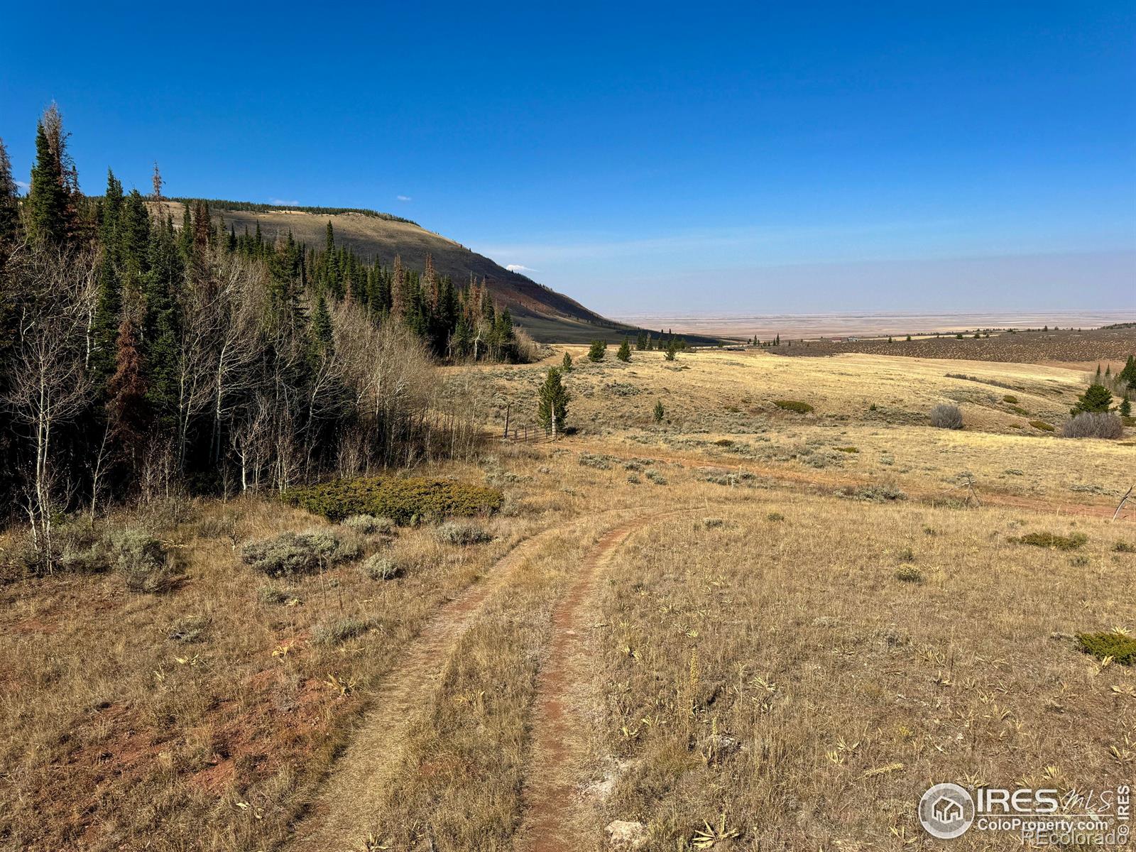 MLS Image #38 for 235  forb lane,red feather lakes, Colorado