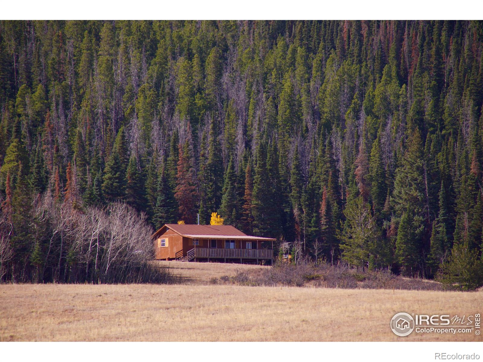 MLS Image #39 for 235  forb lane,red feather lakes, Colorado