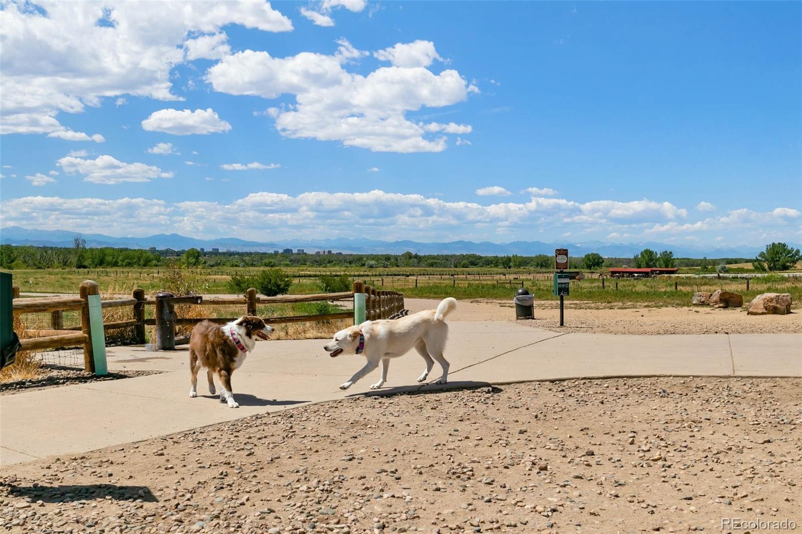 MLS Image #28 for 8420  canyon rim trail 305,englewood, Colorado