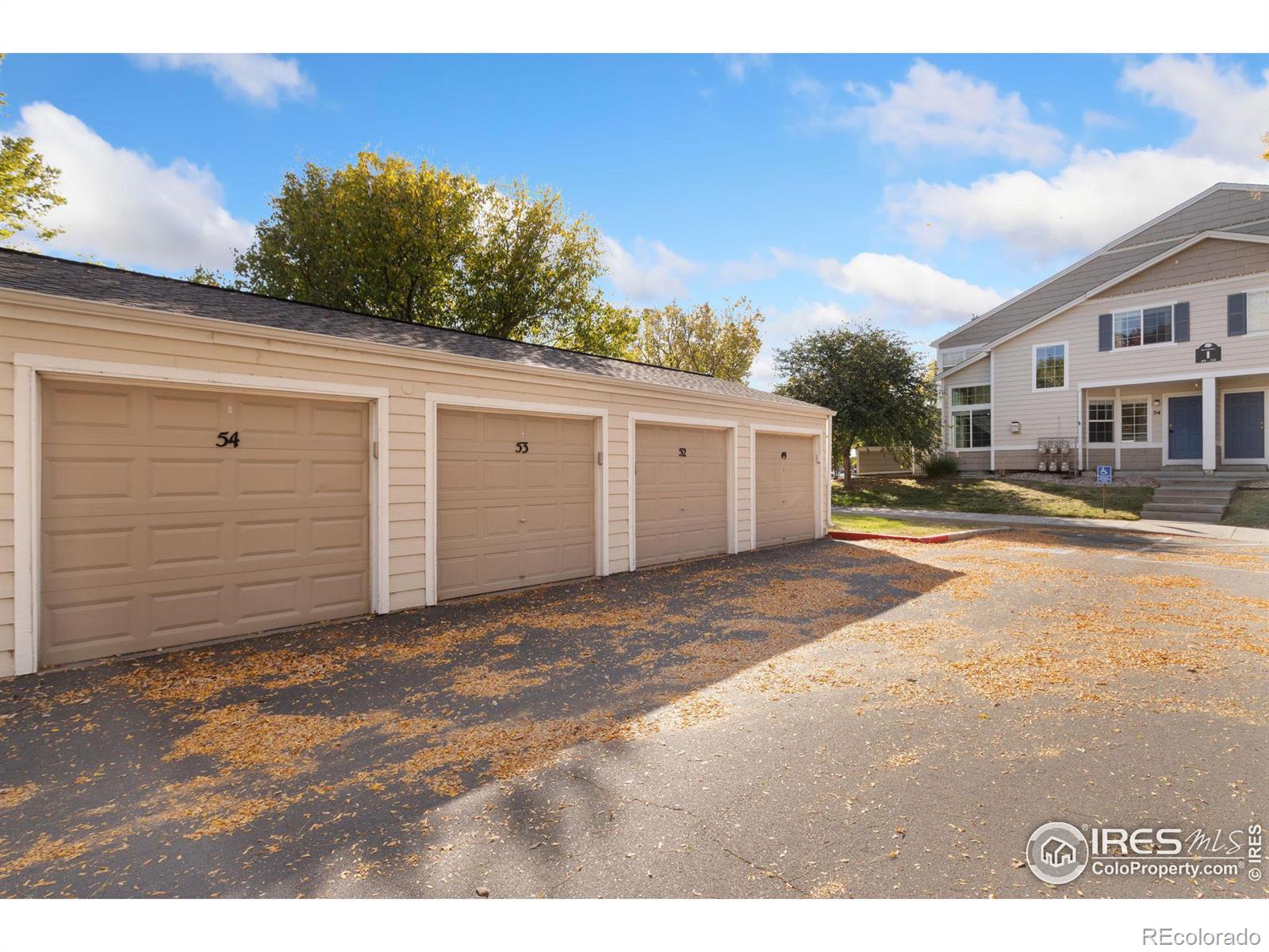 MLS Image #19 for 2602  timberwood drive,fort collins, Colorado