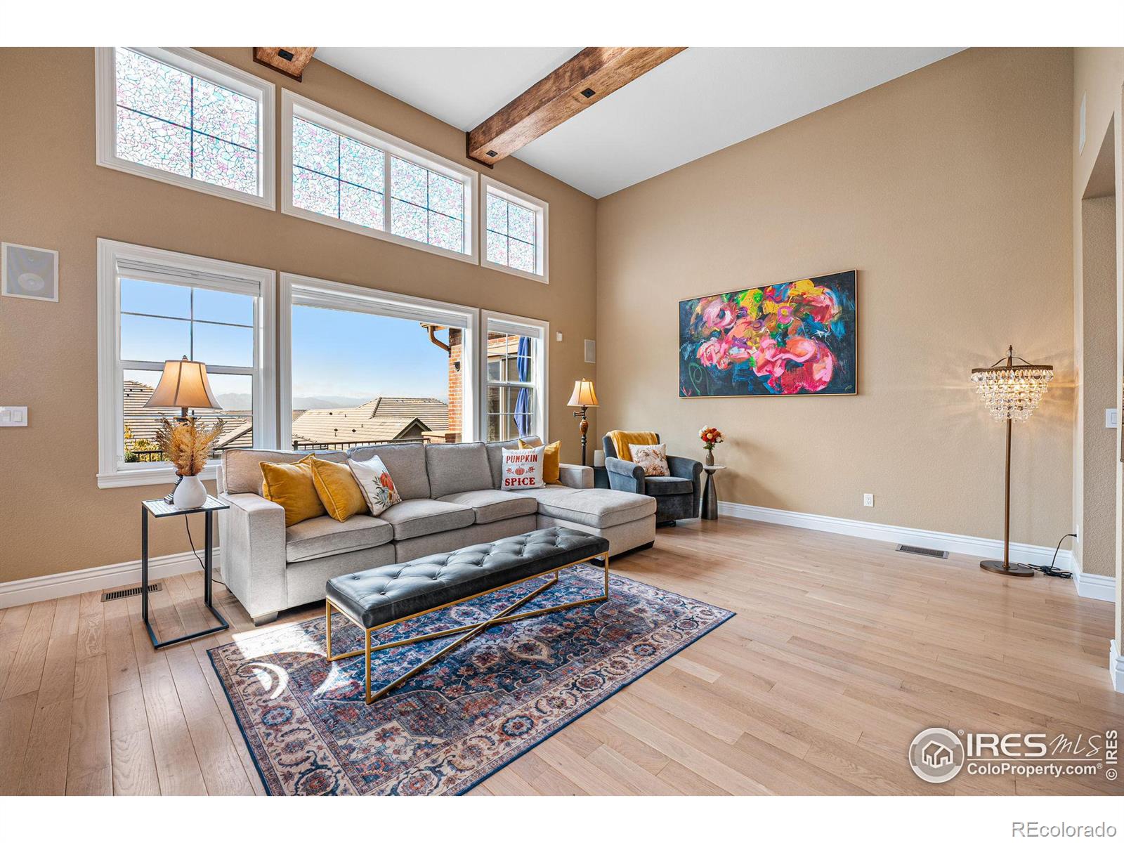 MLS Image #9 for 12103  beach street,westminster, Colorado