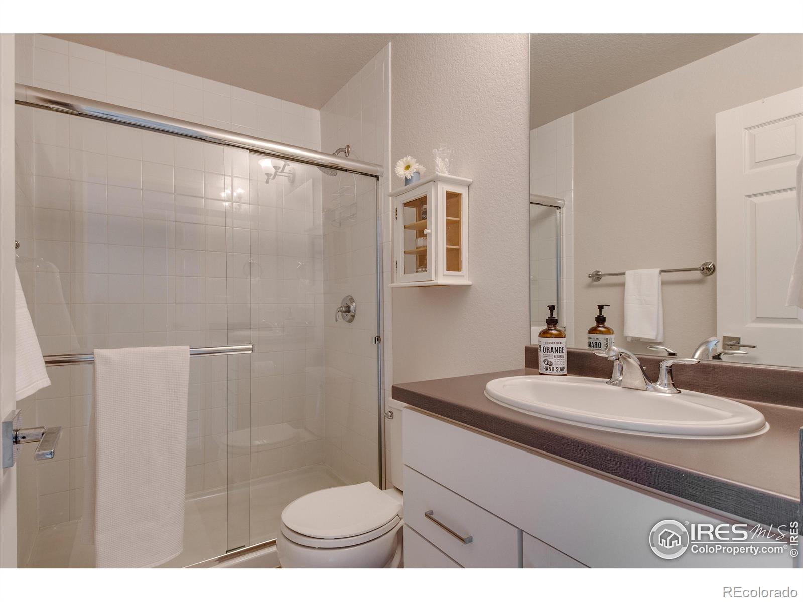 MLS Image #4 for 1135  hummingbird circle,longmont, Colorado