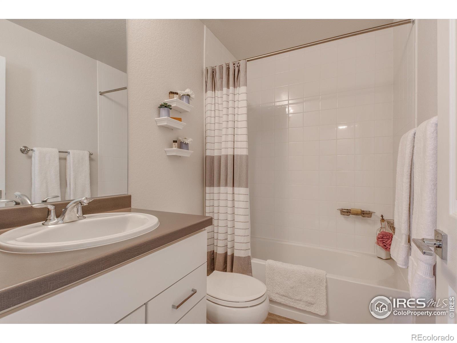 MLS Image #7 for 1135  hummingbird circle,longmont, Colorado