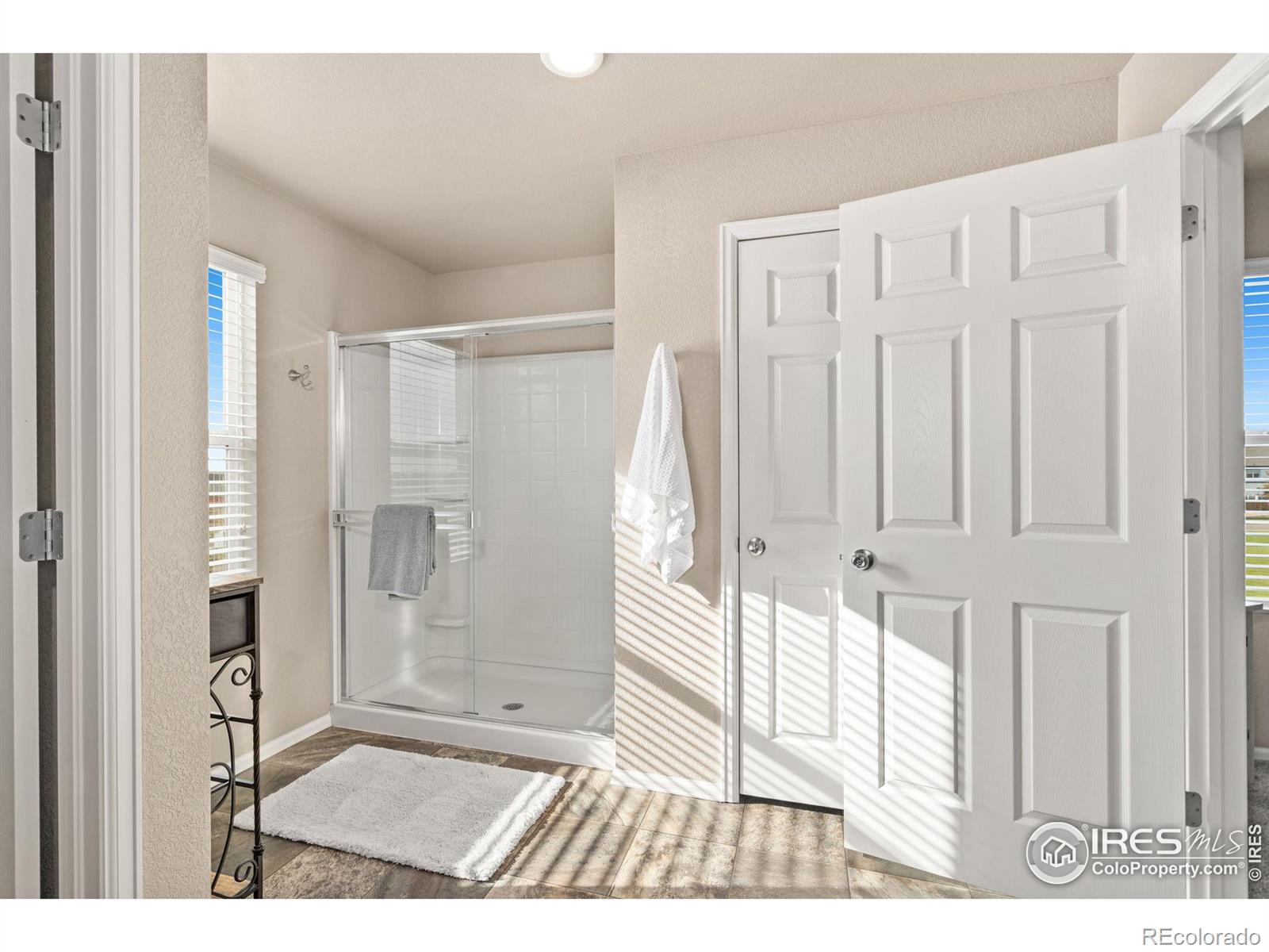 MLS Image #18 for 1529  taplow court,windsor, Colorado