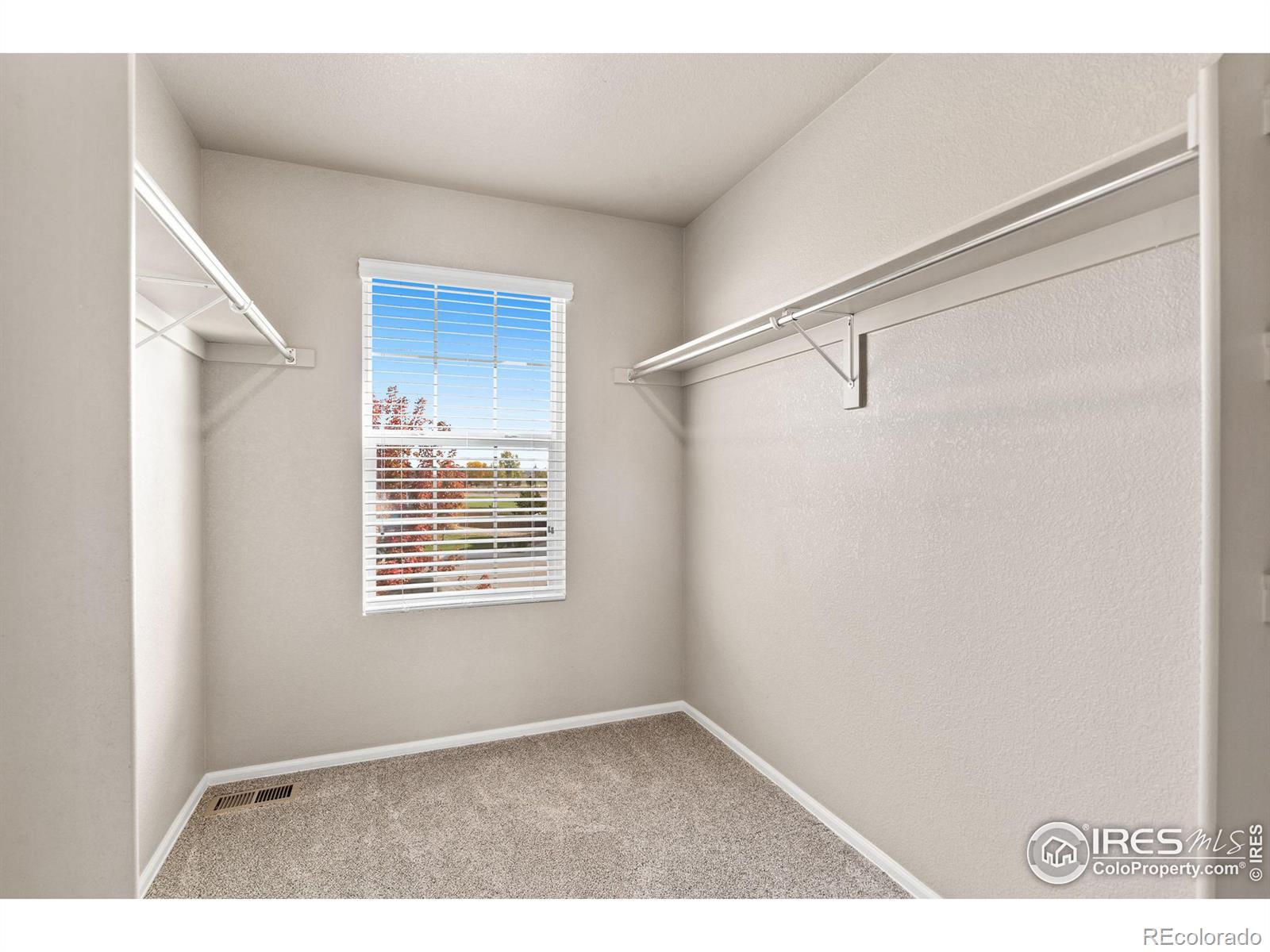 MLS Image #19 for 1529  taplow court,windsor, Colorado