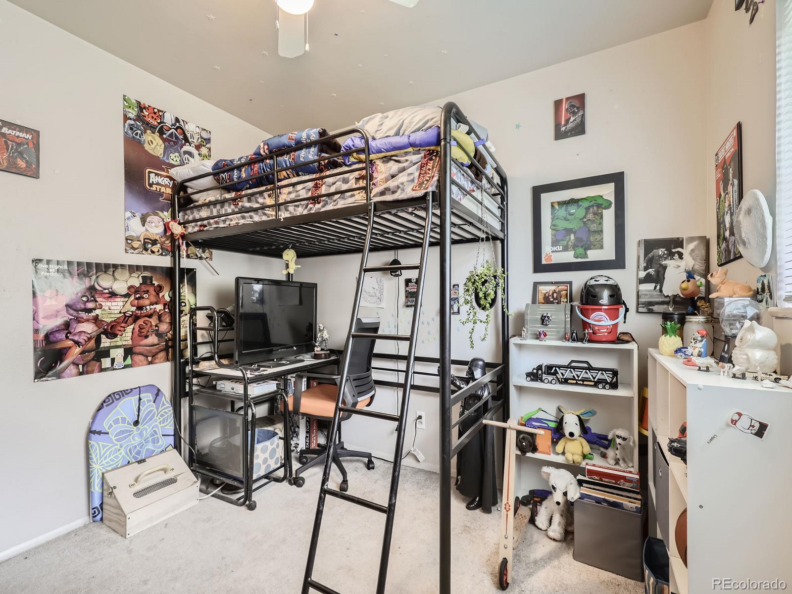 MLS Image #10 for 3055 s winona court,denver, Colorado