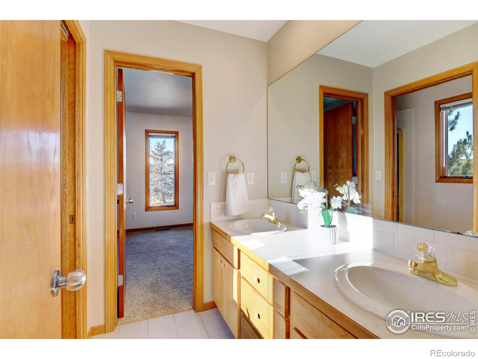 MLS Image #17 for 6715  wild flower road,fort collins, Colorado