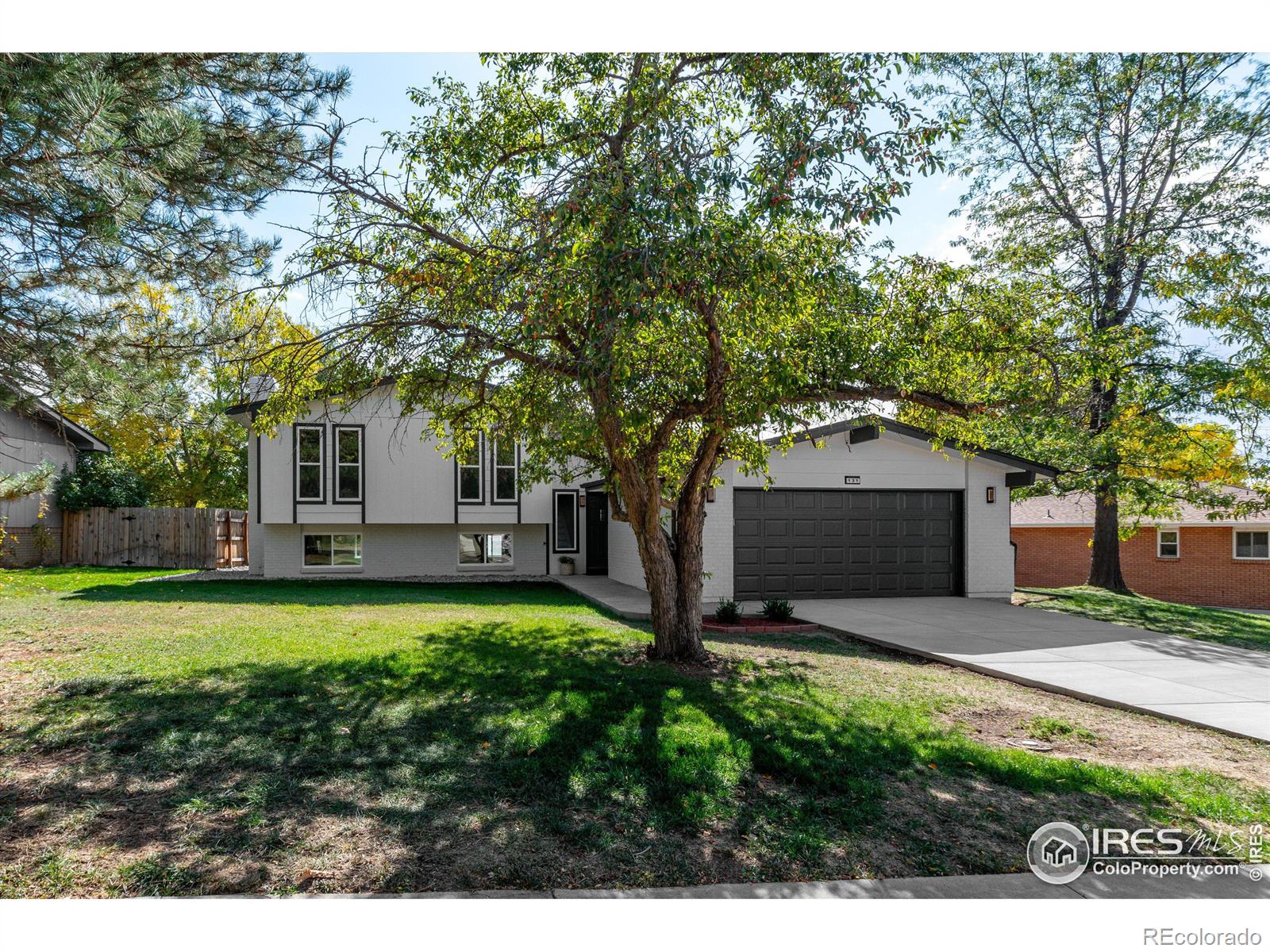 CMA Image for 3520  camden drive,Longmont, Colorado