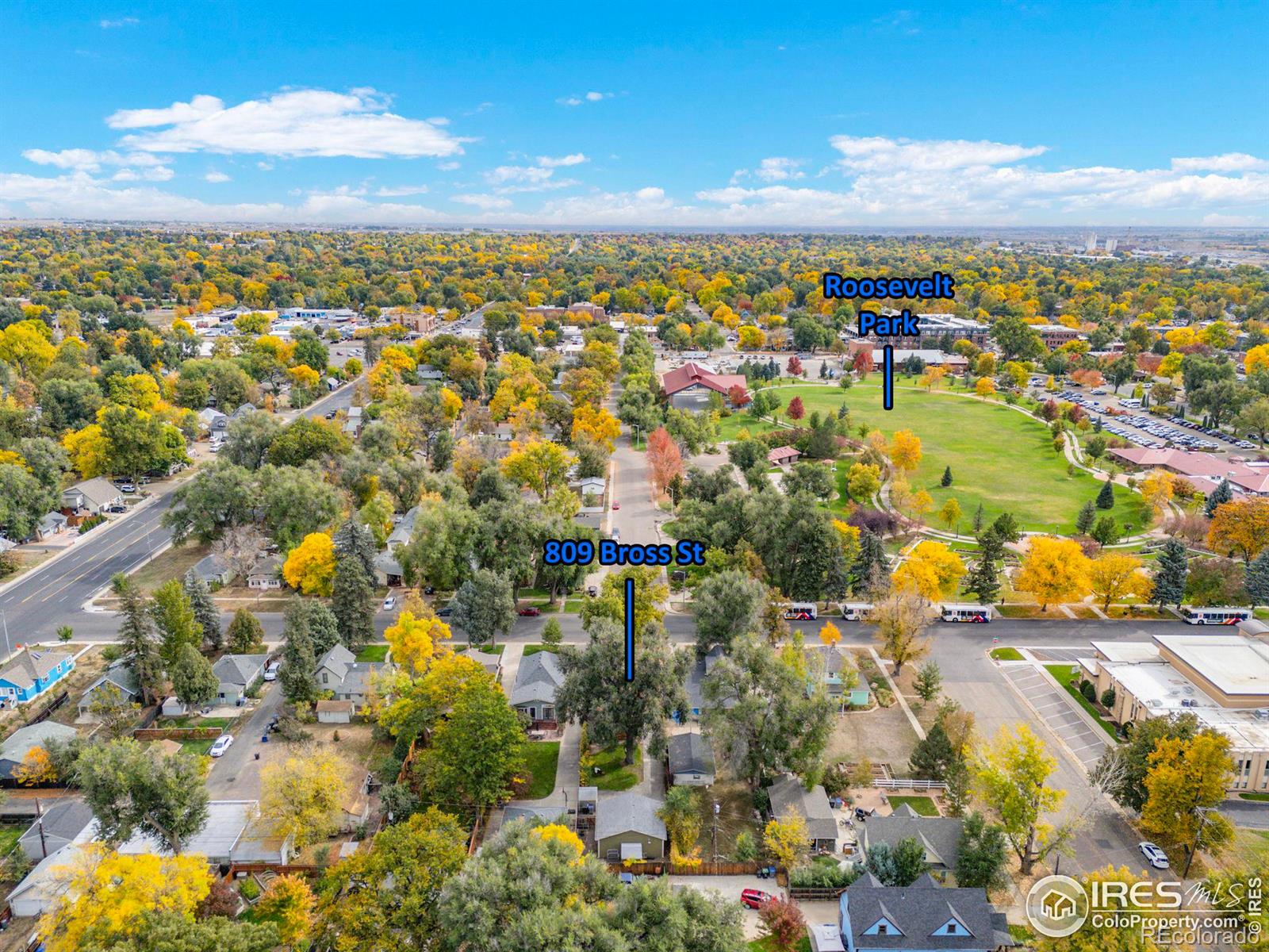 MLS Image #35 for 809  bross street,longmont, Colorado