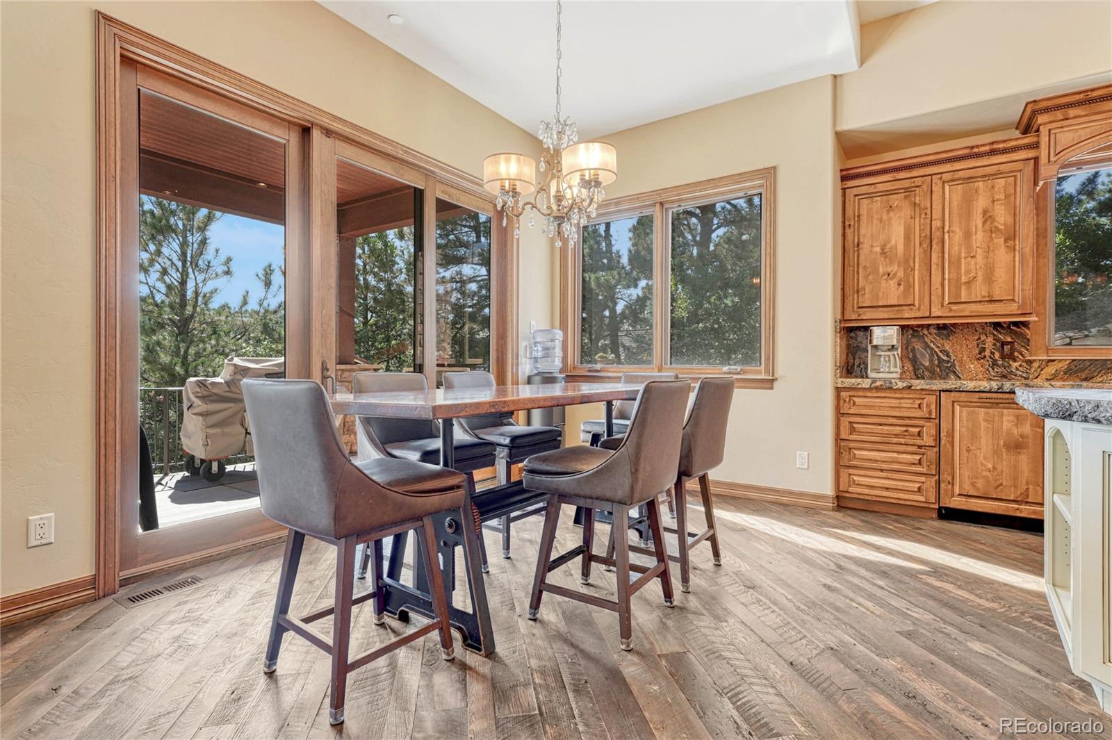 MLS Image #12 for 989  preston court,castle rock, Colorado