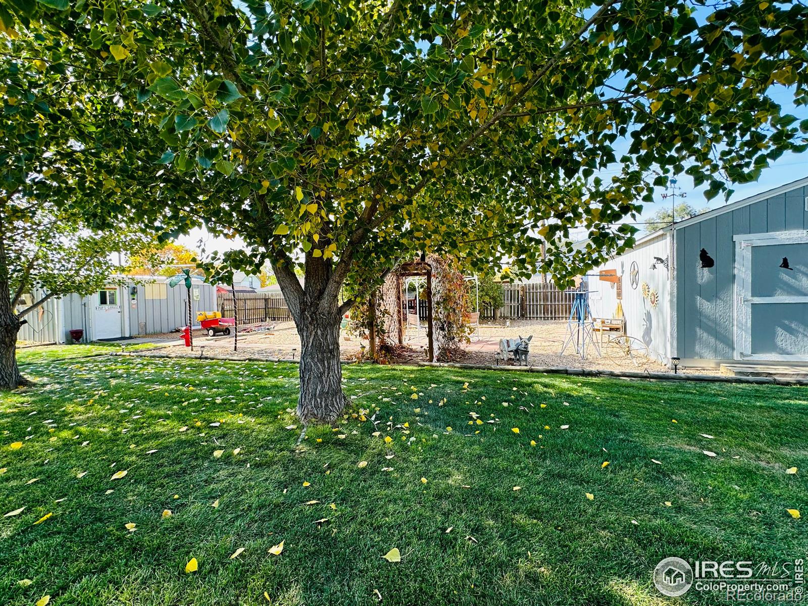 MLS Image #2 for 319  5th street,kersey, Colorado