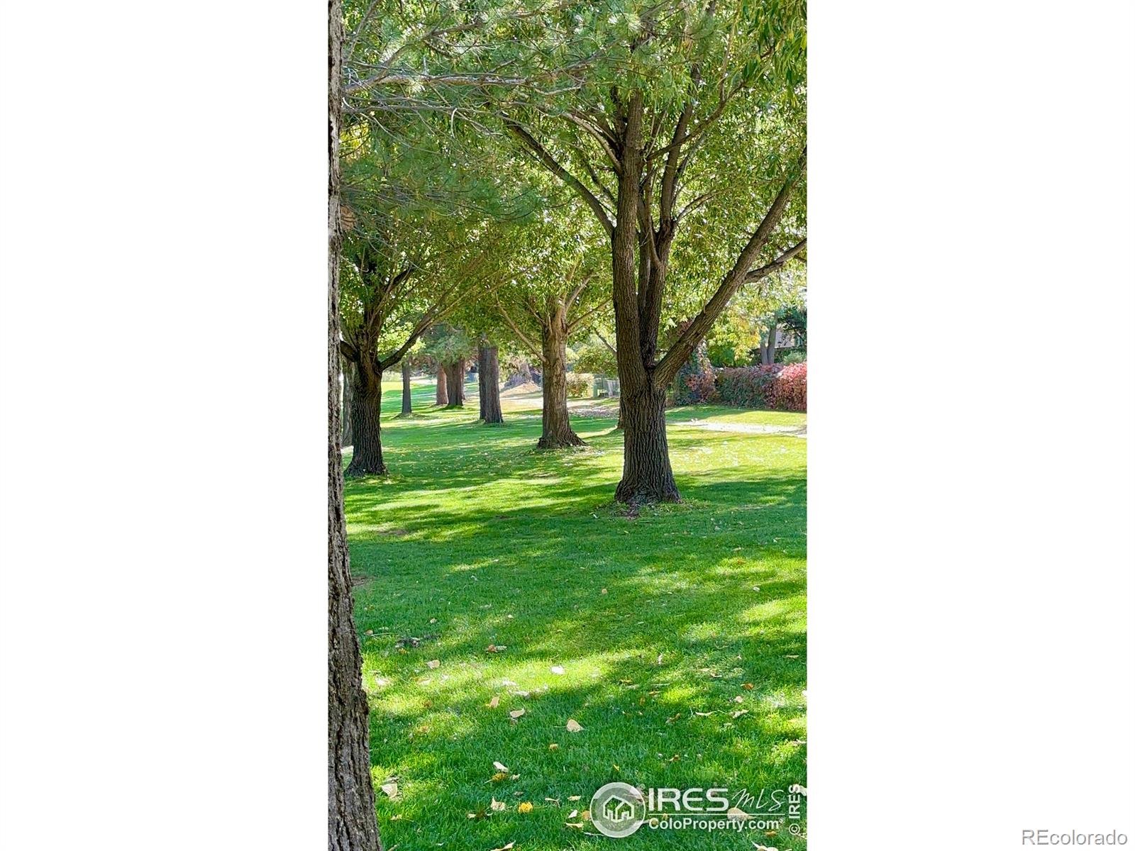 MLS Image #39 for 1030  49th avenue,greeley, Colorado