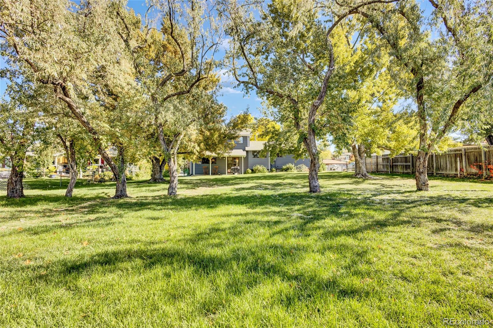 MLS Image #21 for 844  mercury circle,lone tree, Colorado