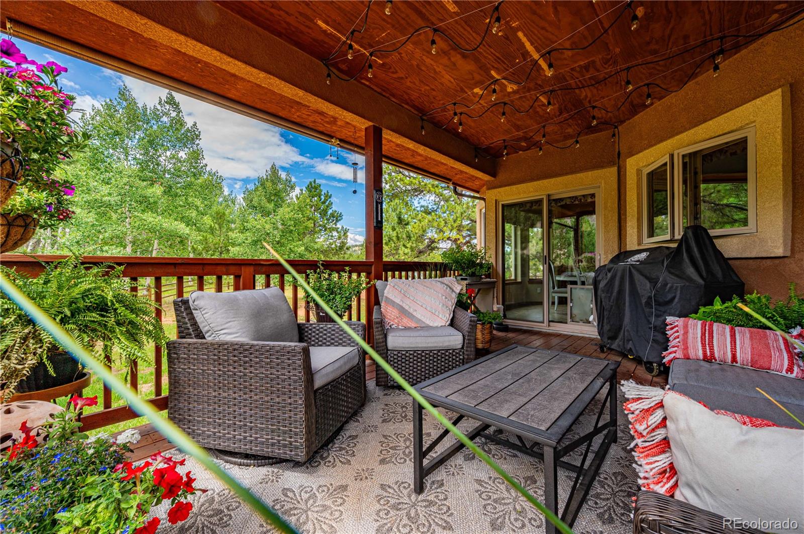 MLS Image #21 for 1280  woodland valley ranch road,woodland park, Colorado