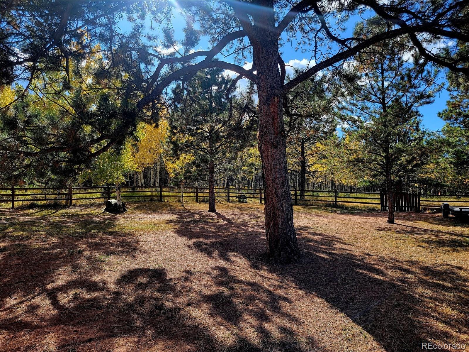 MLS Image #25 for 1280  woodland valley ranch road,woodland park, Colorado