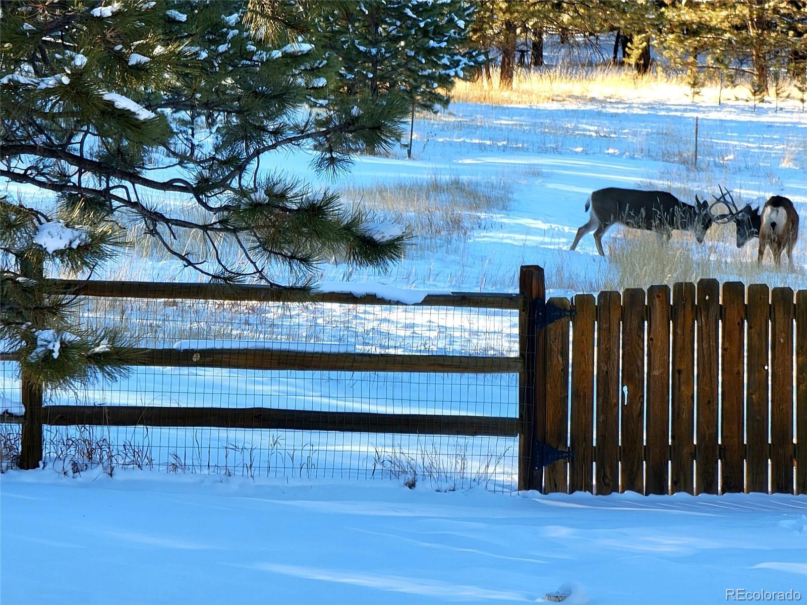 MLS Image #28 for 1280  woodland valley ranch road,woodland park, Colorado