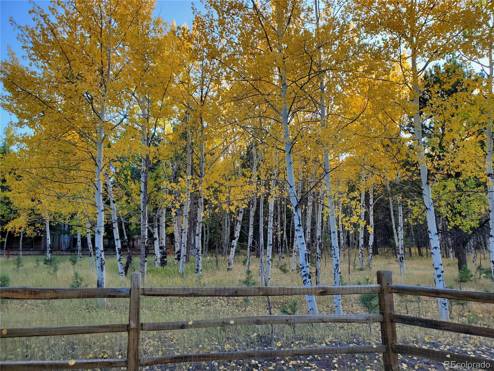MLS Image #33 for 1280  woodland valley ranch road,woodland park, Colorado