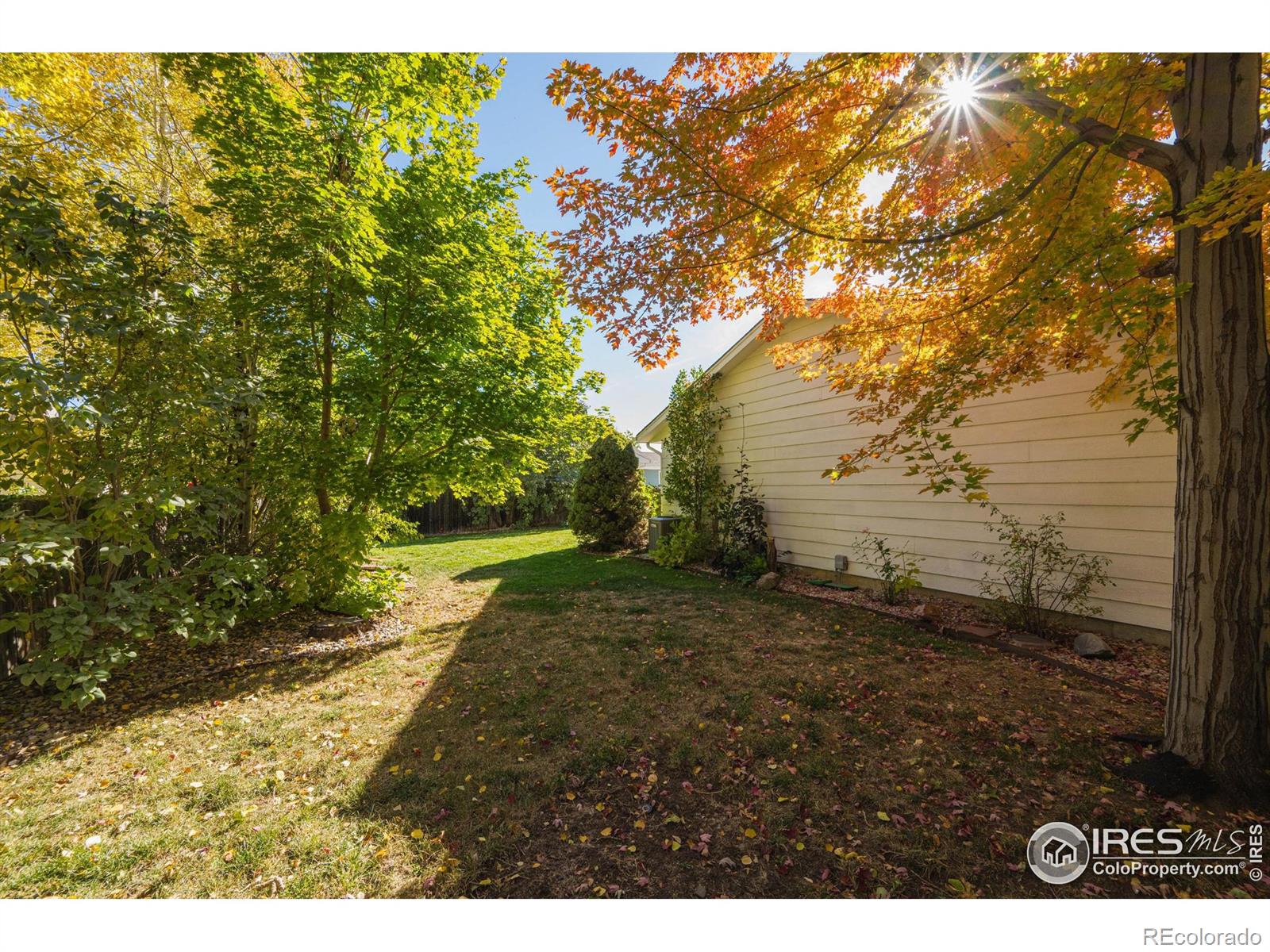 MLS Image #27 for 1645  hoffman drive,loveland, Colorado