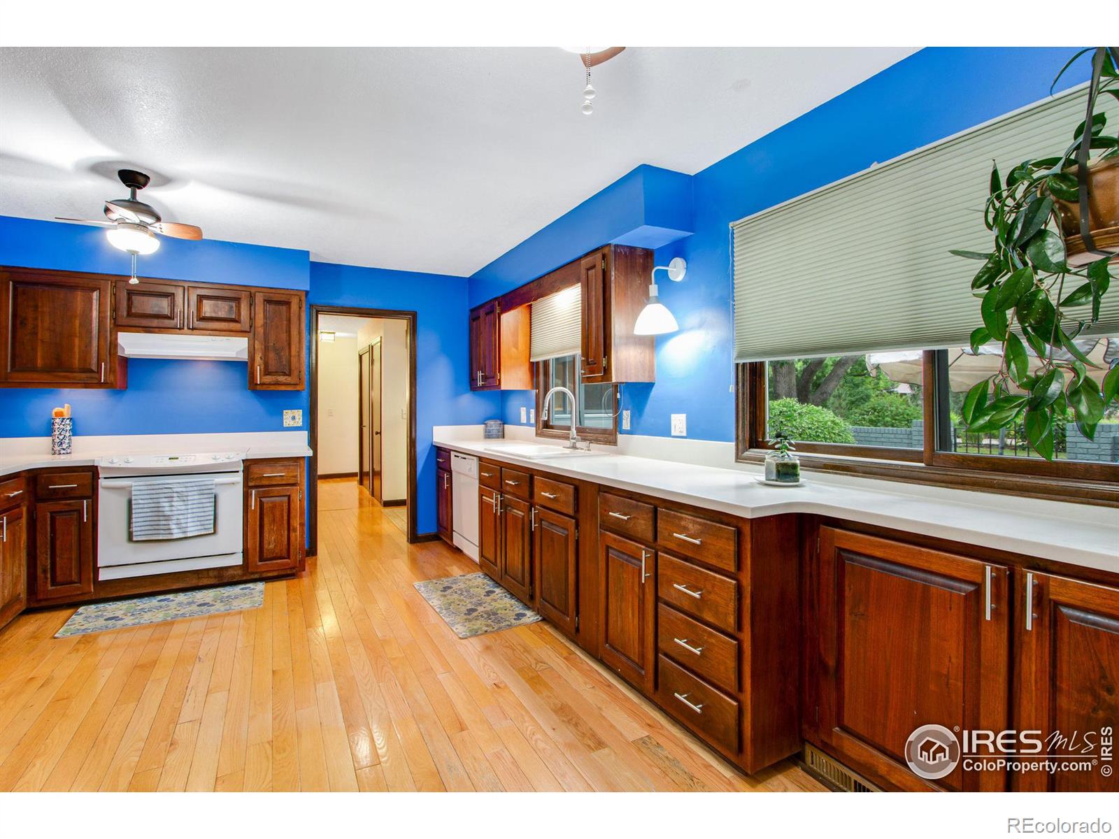 MLS Image #13 for 2508  hawthorne road,fort collins, Colorado