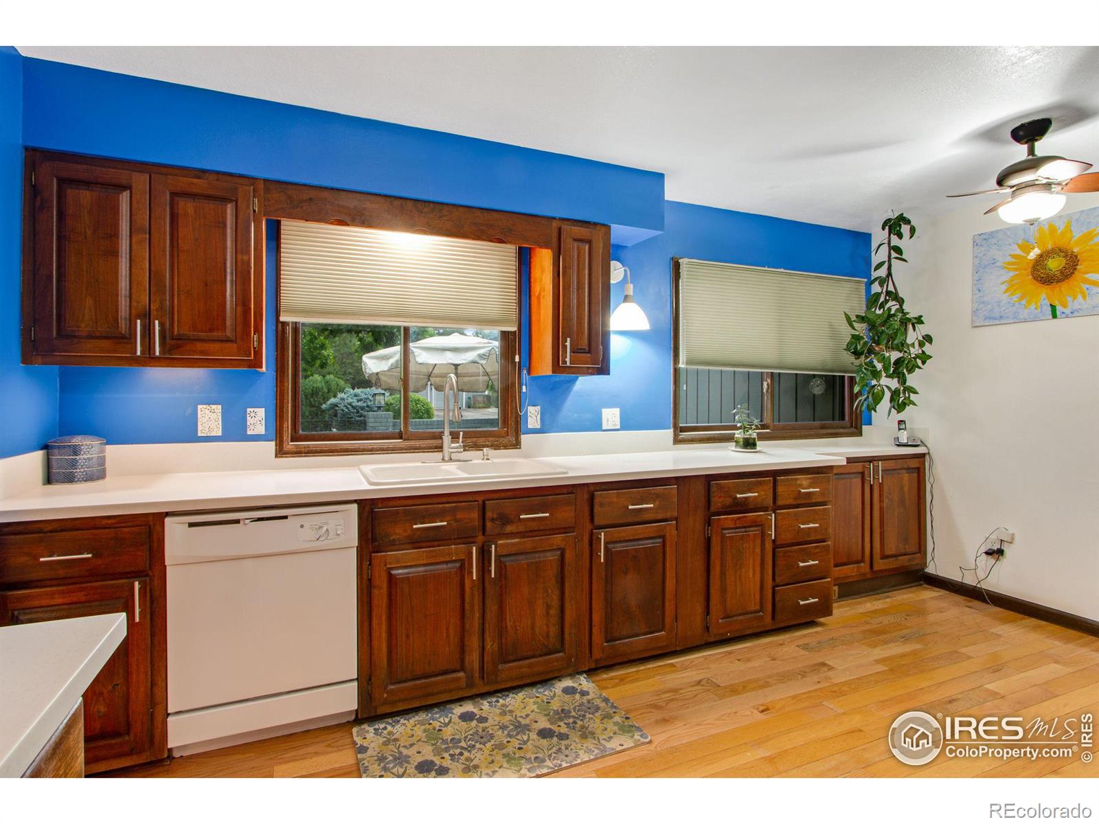 MLS Image #15 for 2508  hawthorne road,fort collins, Colorado