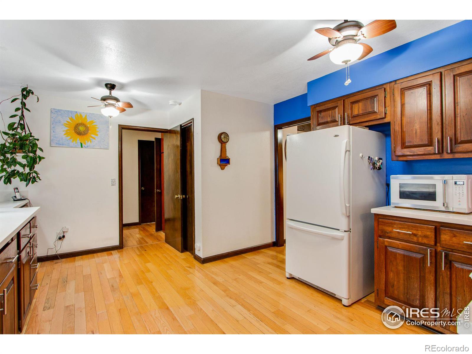 MLS Image #16 for 2508  hawthorne road,fort collins, Colorado