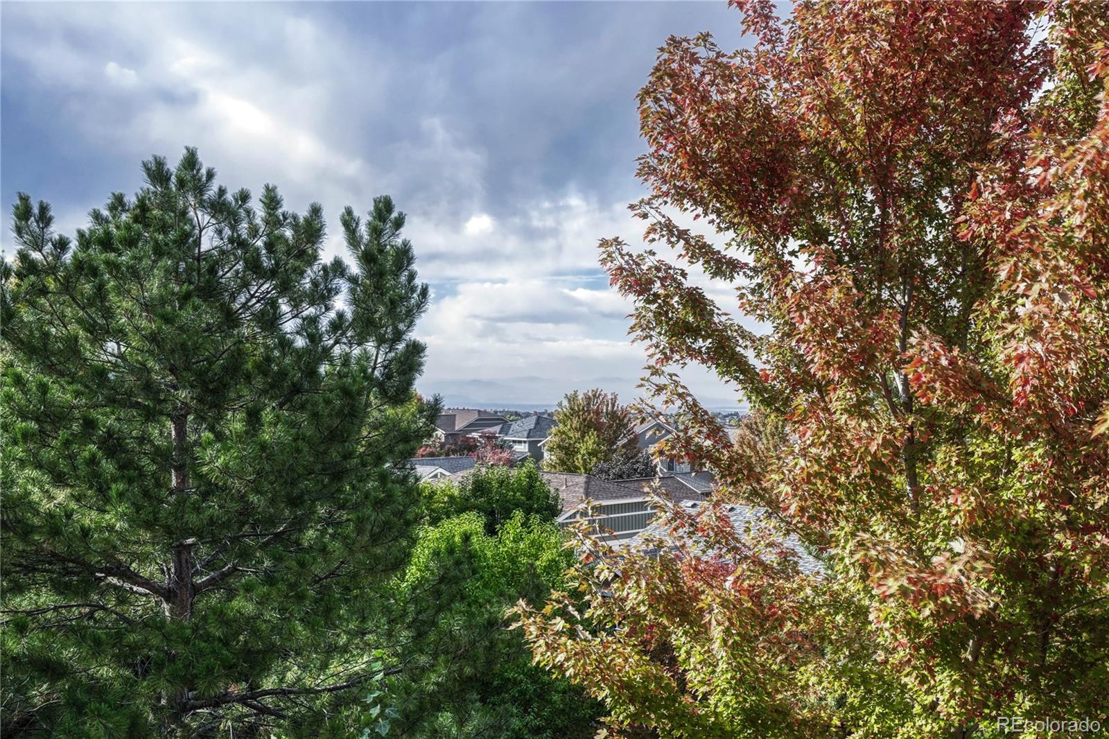 MLS Image #16 for 3033  fox sedge lane,highlands ranch, Colorado