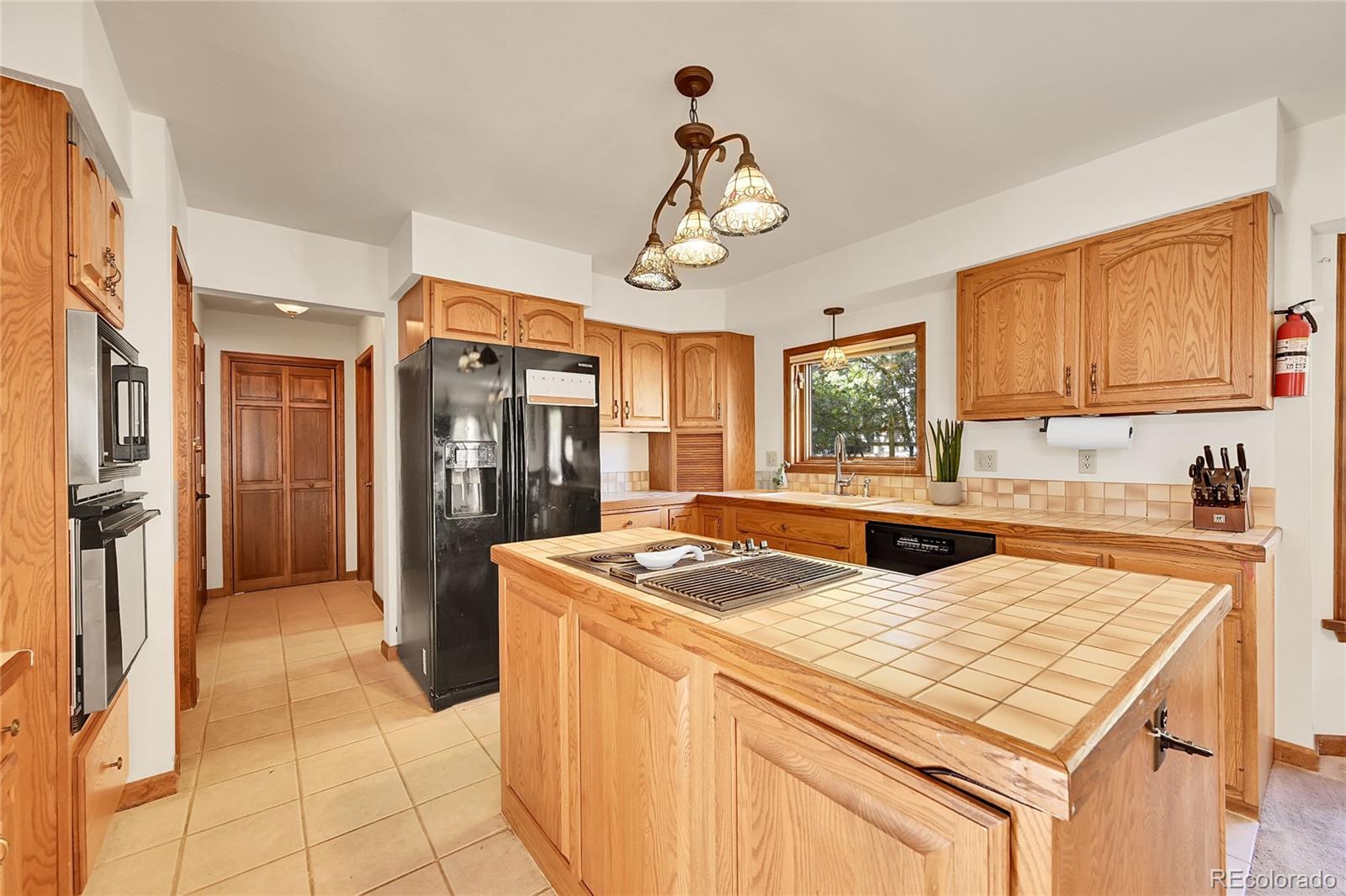 MLS Image #12 for 5526  irish pat murphy drive,parker, Colorado