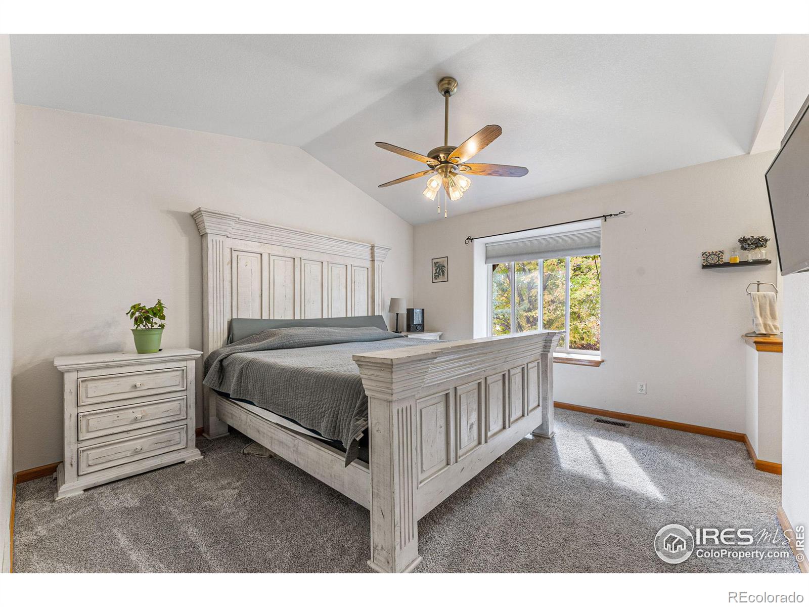 MLS Image #14 for 2558  serena drive,mead, Colorado