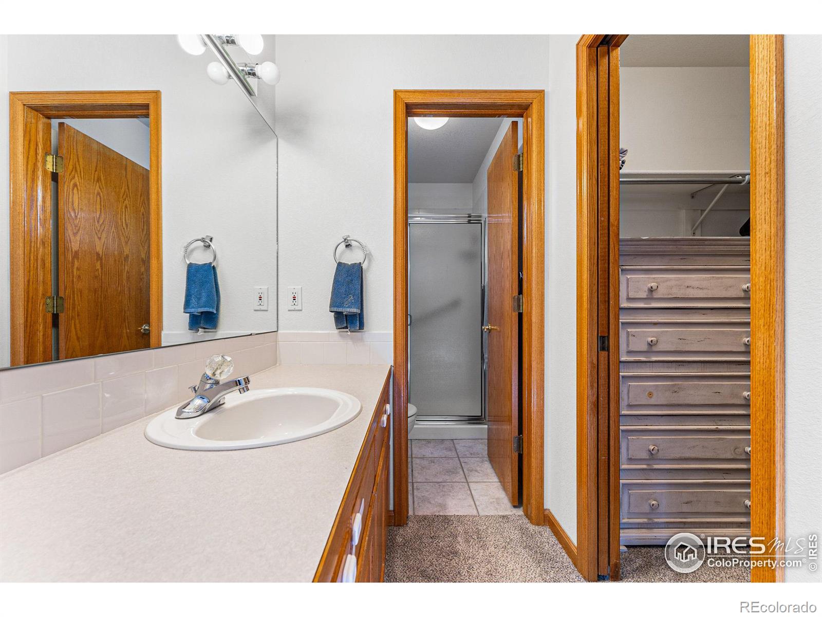 MLS Image #16 for 2558  serena drive,mead, Colorado