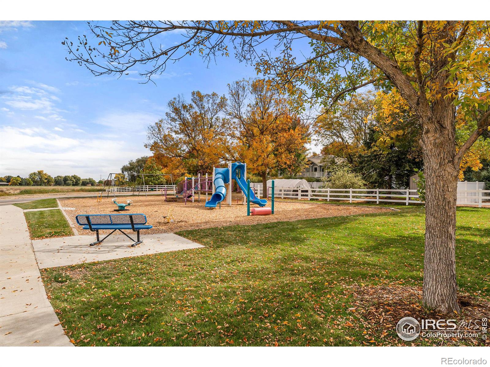 MLS Image #35 for 2558  serena drive,mead, Colorado