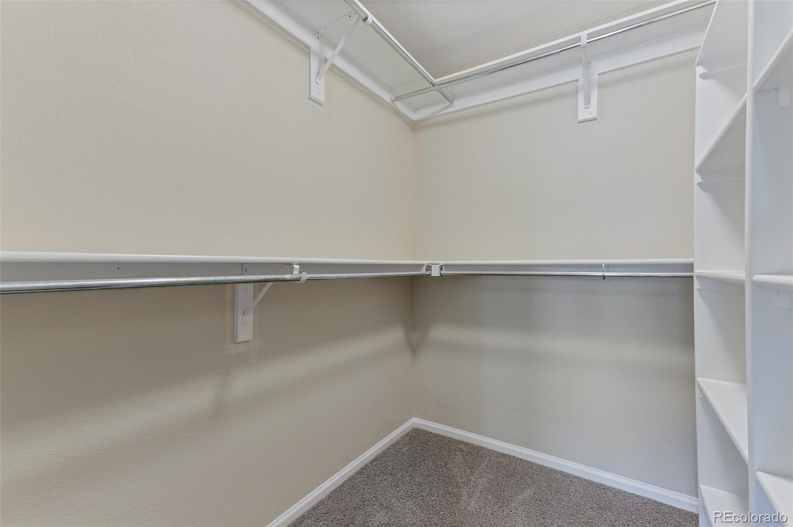 MLS Image #15 for 8326  stonybridge circle ,highlands ranch, Colorado