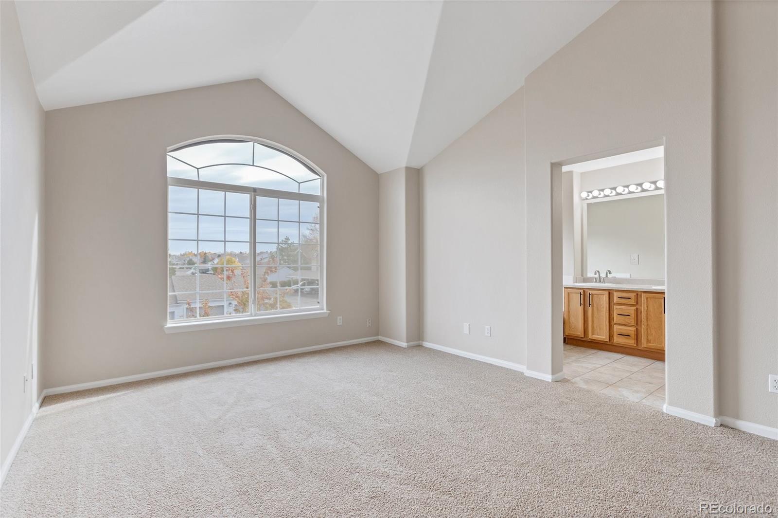MLS Image #19 for 8326  stonybridge circle ,highlands ranch, Colorado