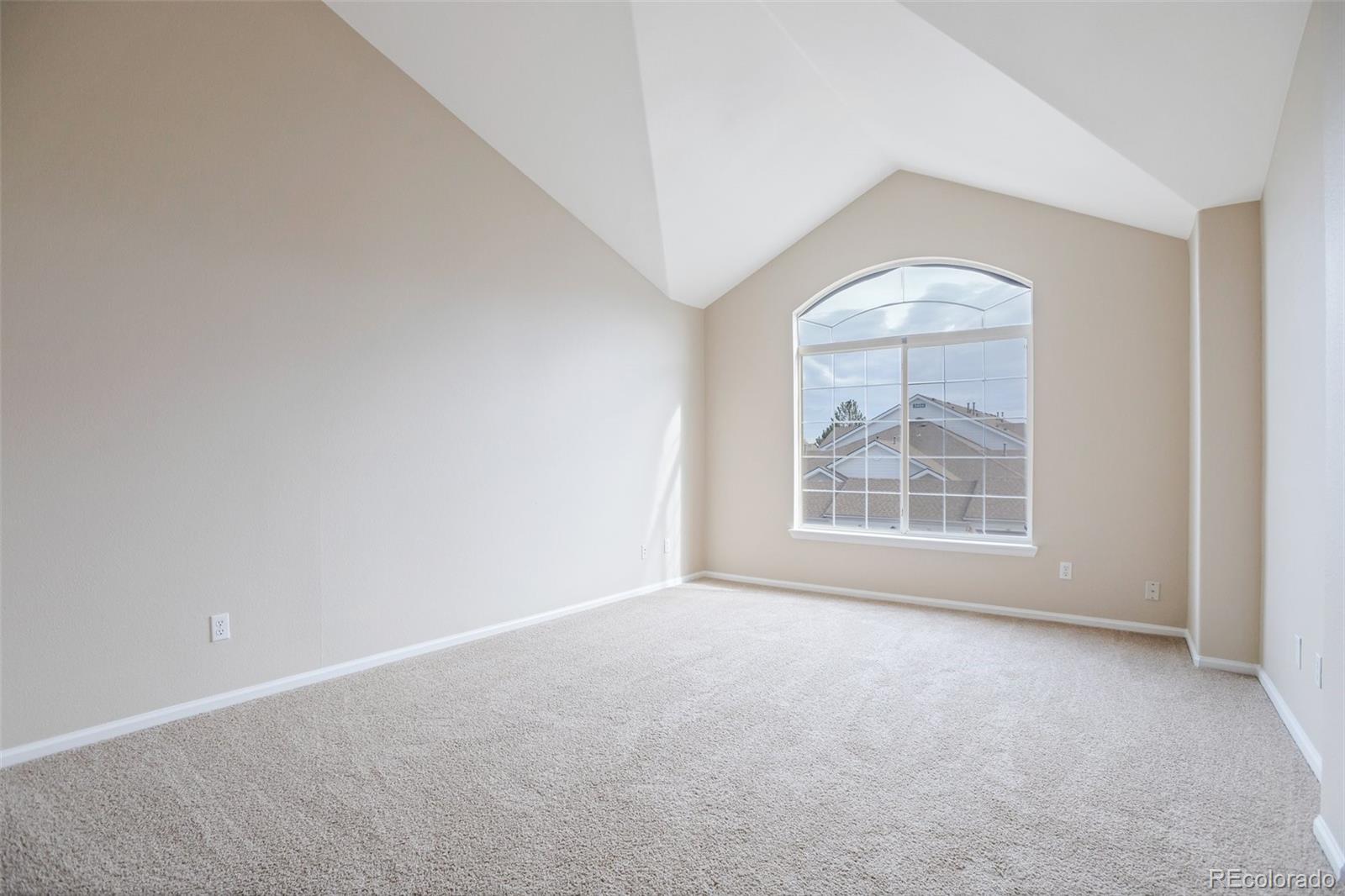 MLS Image #20 for 8326  stonybridge circle ,highlands ranch, Colorado