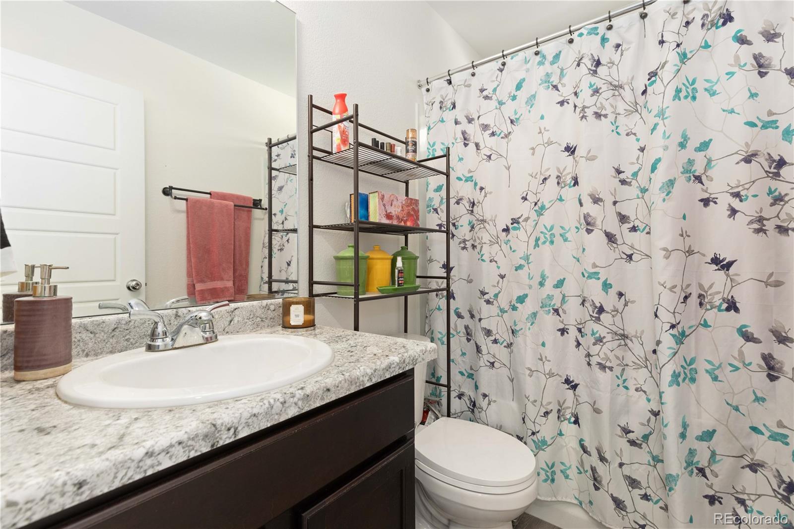 MLS Image #12 for 18637 e 53rd drive,denver, Colorado