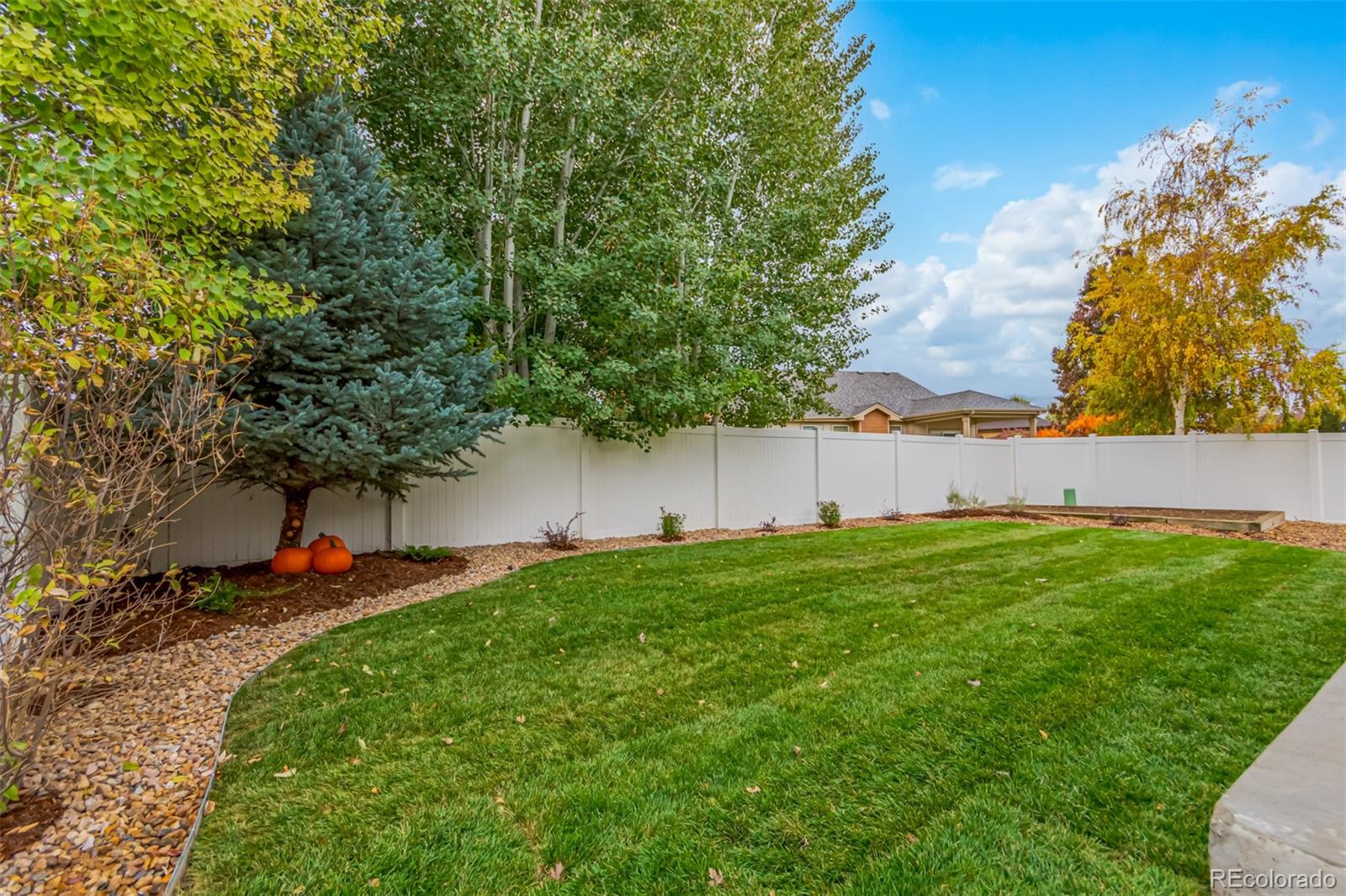 MLS Image #42 for 481  wind river drive,windsor, Colorado