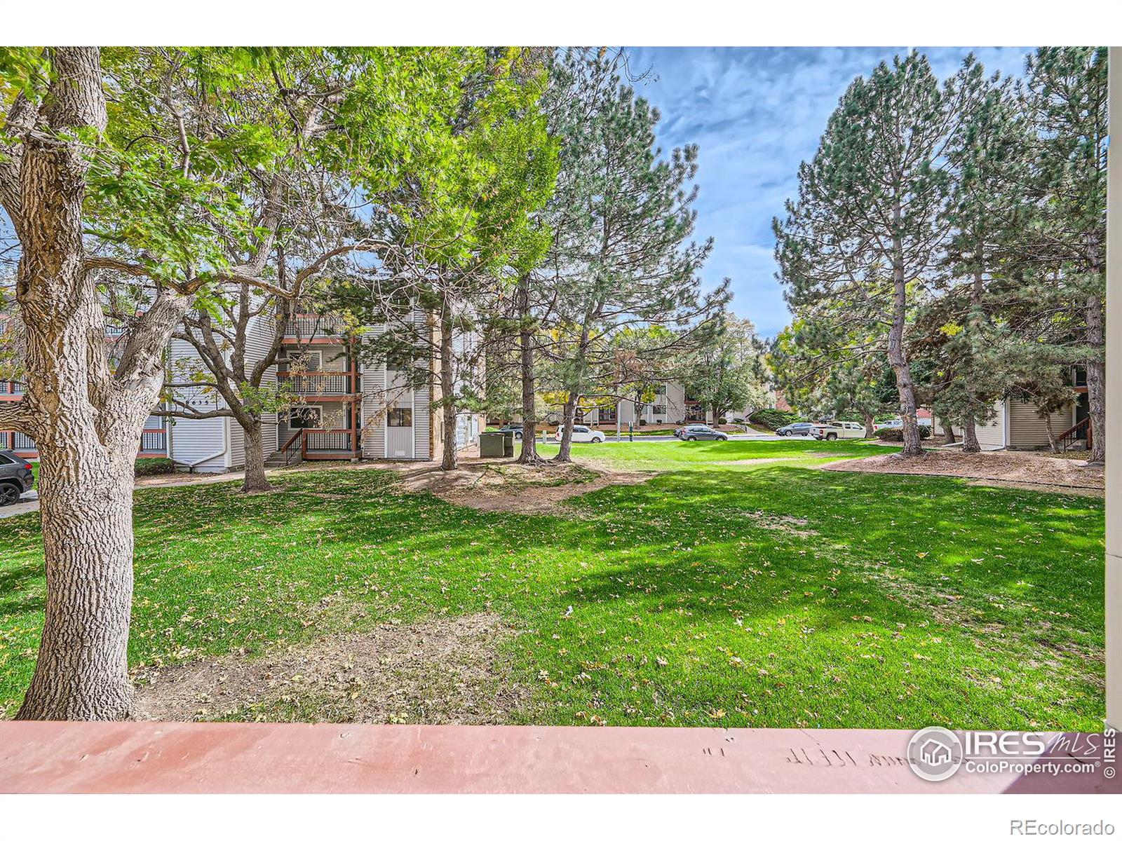 MLS Image #16 for 8625  clay street,westminster, Colorado