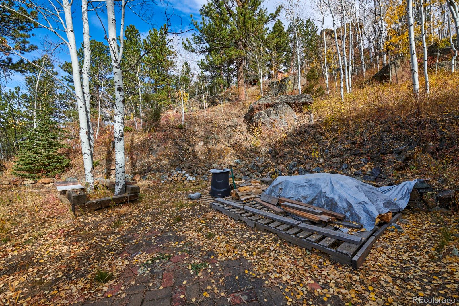 MLS Image #20 for 191  assay office road,rollinsville, Colorado