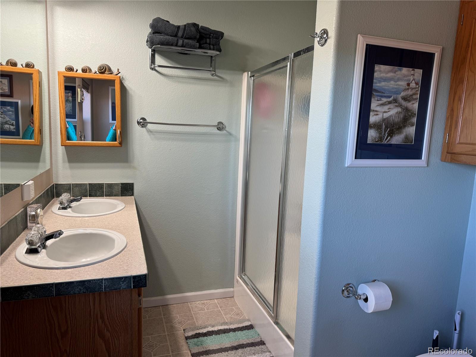 MLS Image #14 for 325  spread eagle drive,westcliffe, Colorado
