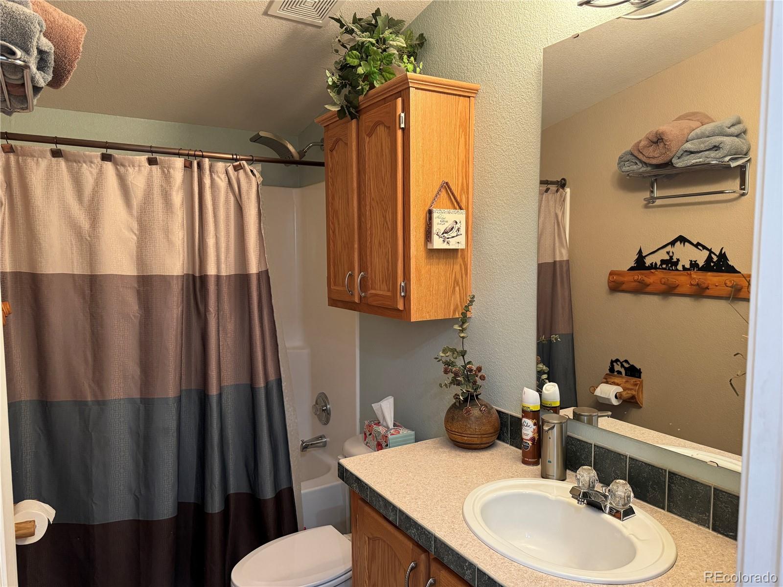 MLS Image #20 for 325  spread eagle drive,westcliffe, Colorado