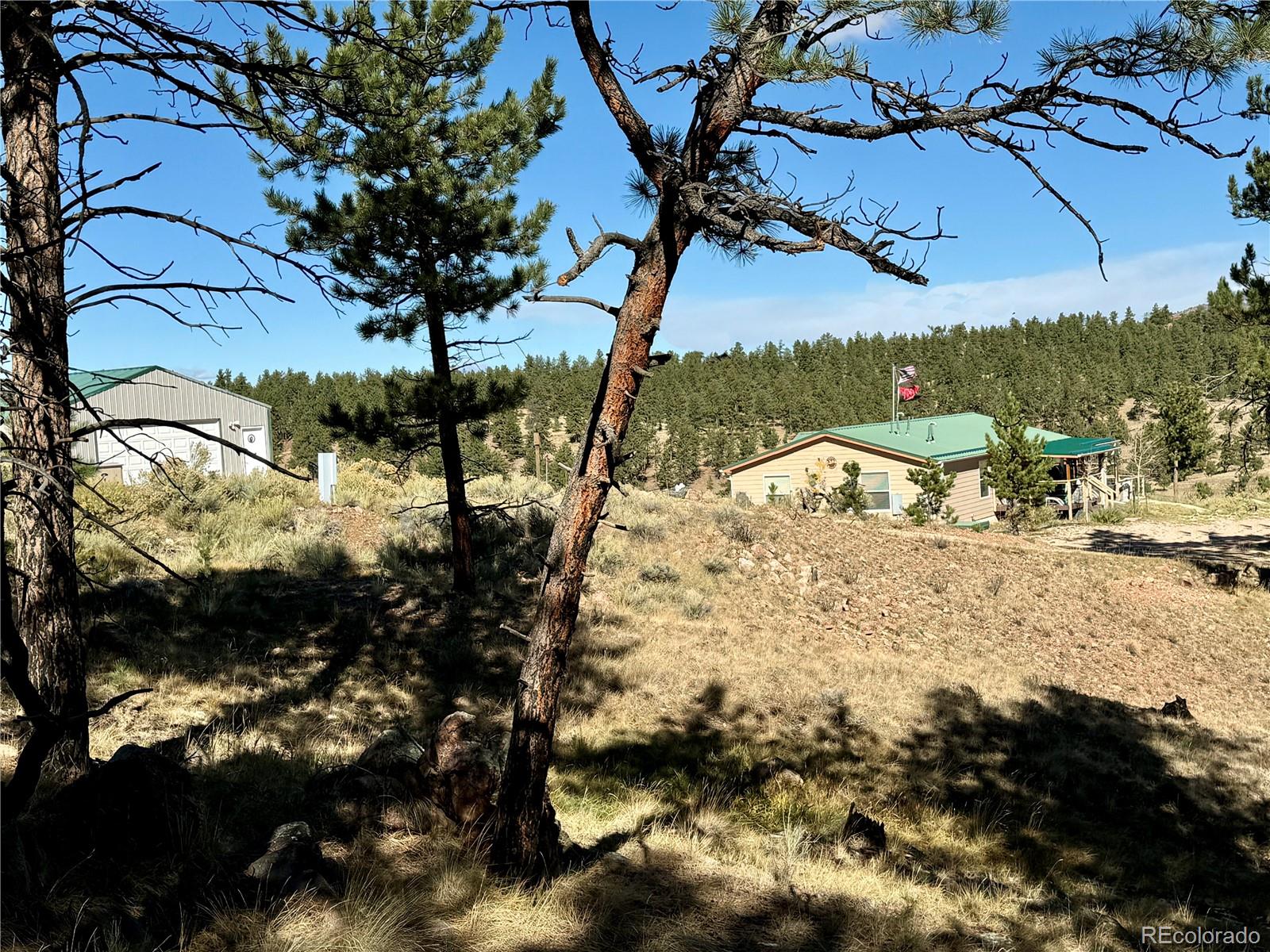 MLS Image #5 for 325  spread eagle drive,westcliffe, Colorado