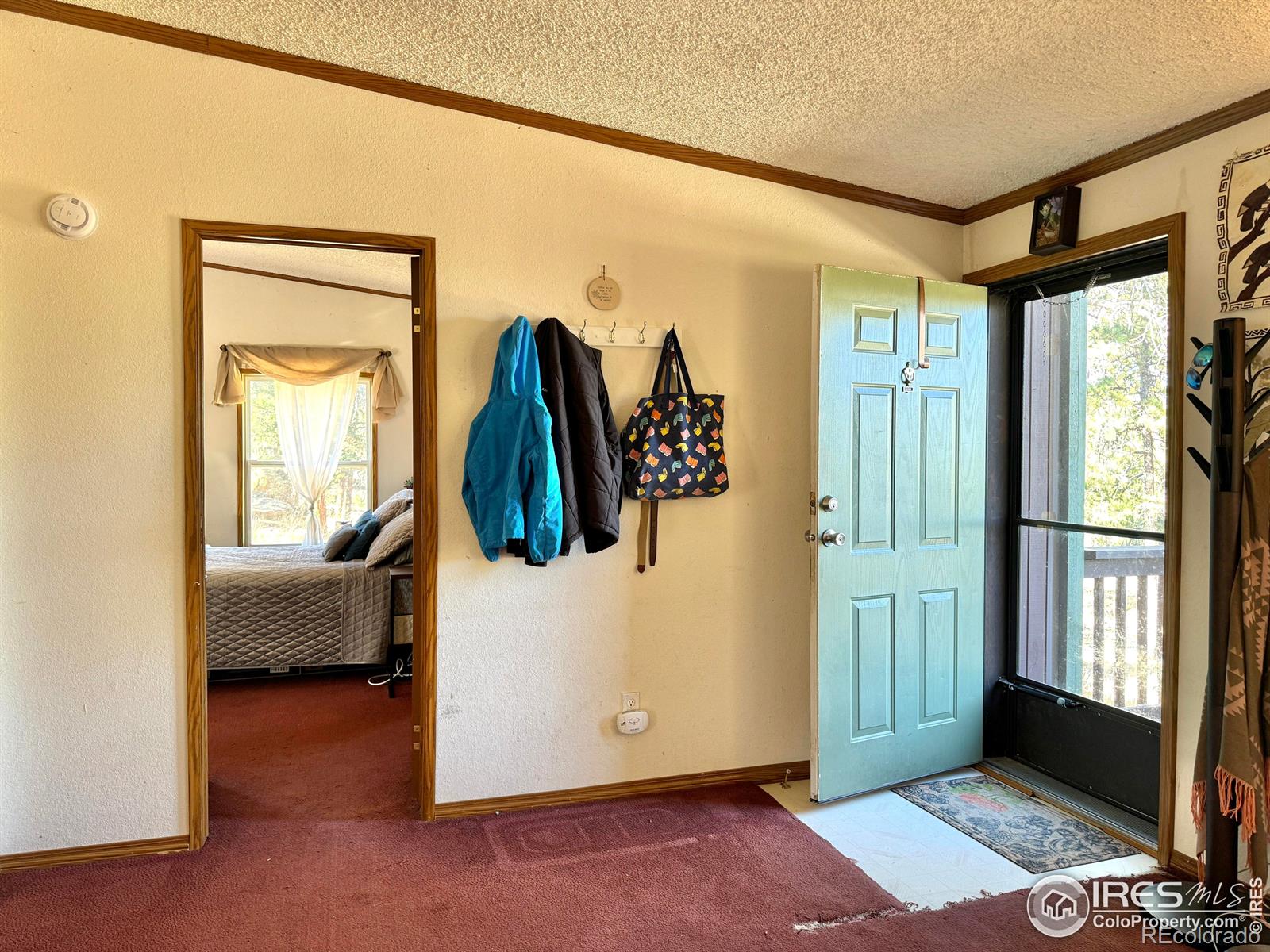 MLS Image #10 for 4393  green mountain drive,livermore, Colorado
