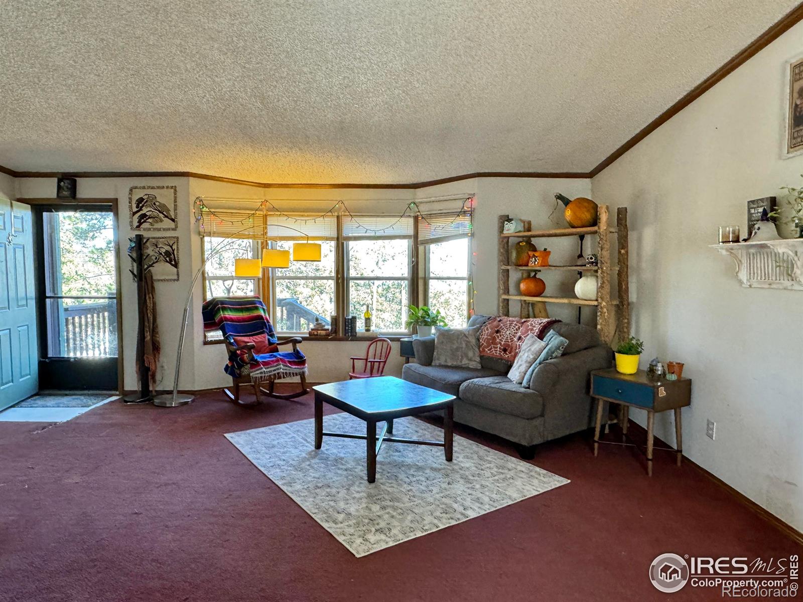 MLS Image #11 for 4393  green mountain drive,livermore, Colorado