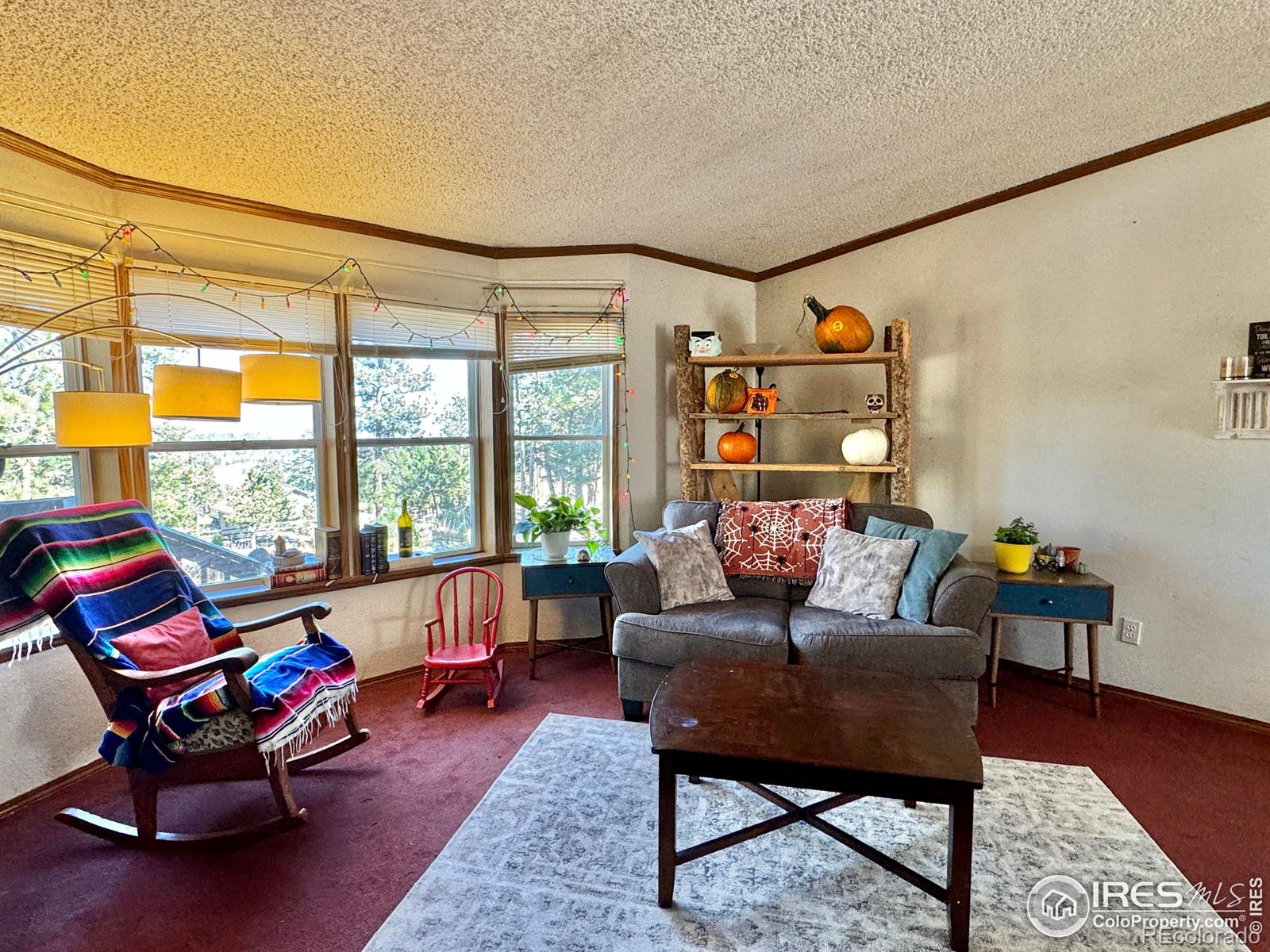 MLS Image #12 for 4393  green mountain drive,livermore, Colorado