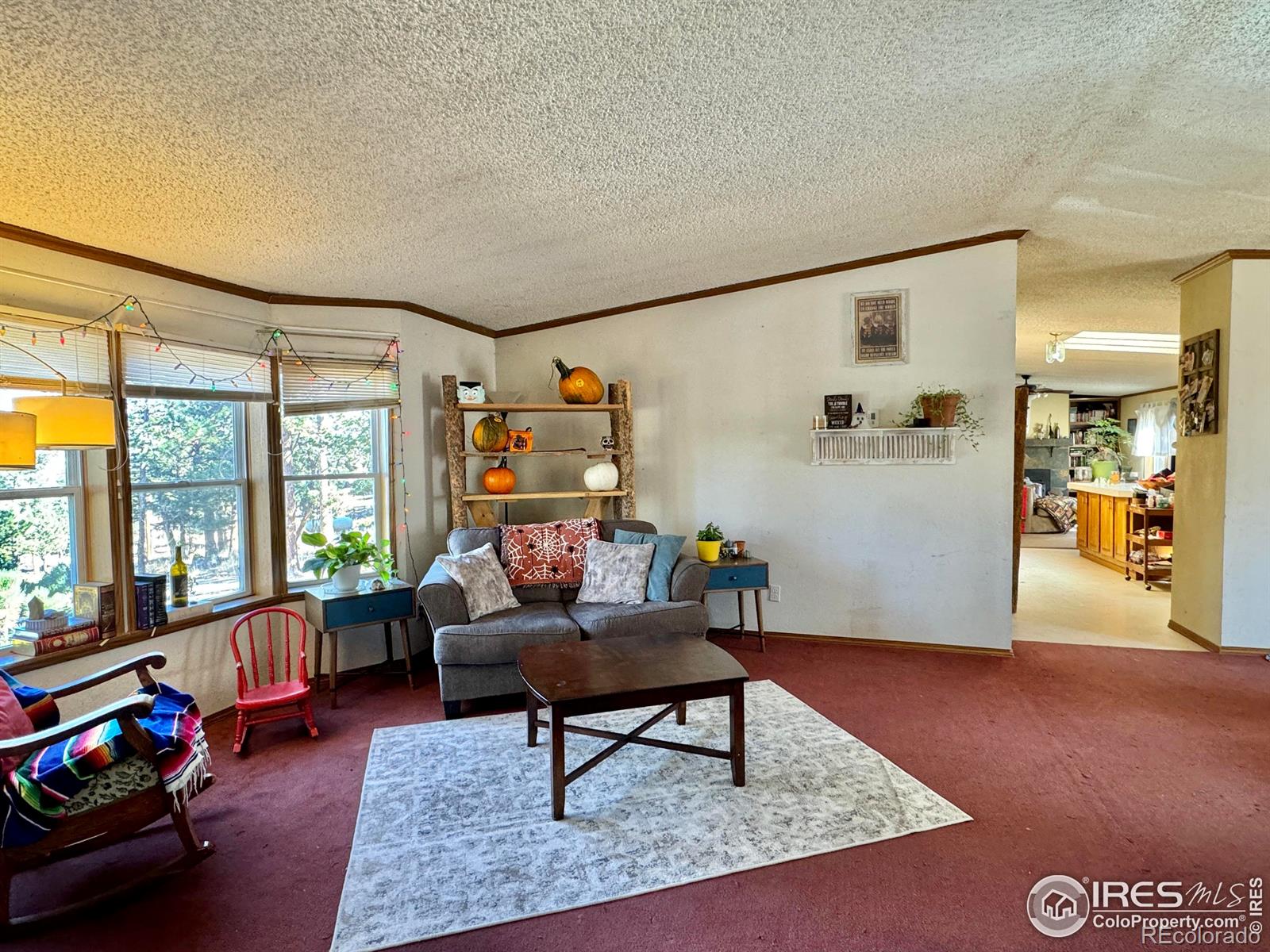 MLS Image #13 for 4393  green mountain drive,livermore, Colorado