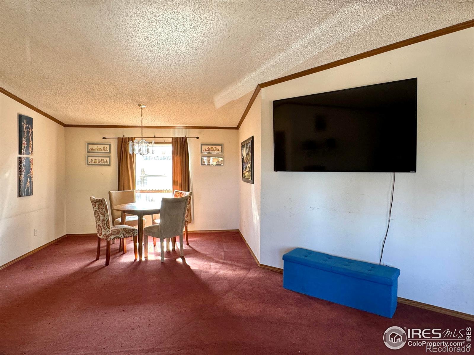 MLS Image #14 for 4393  green mountain drive,livermore, Colorado