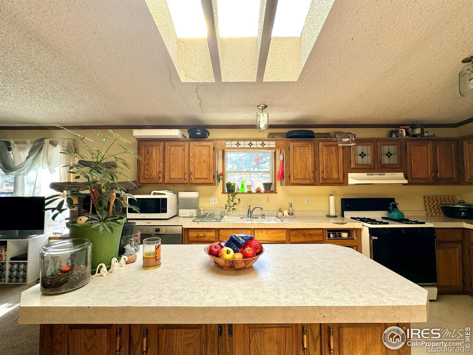 MLS Image #19 for 4393  green mountain drive,livermore, Colorado