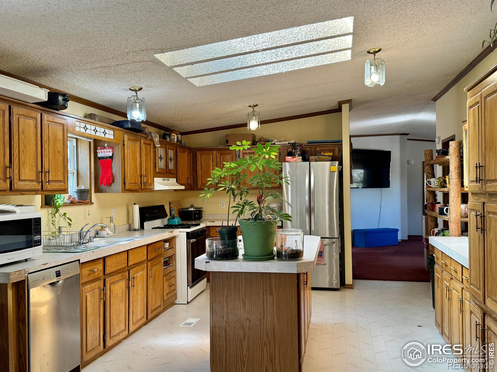 MLS Image #21 for 4393  green mountain drive,livermore, Colorado
