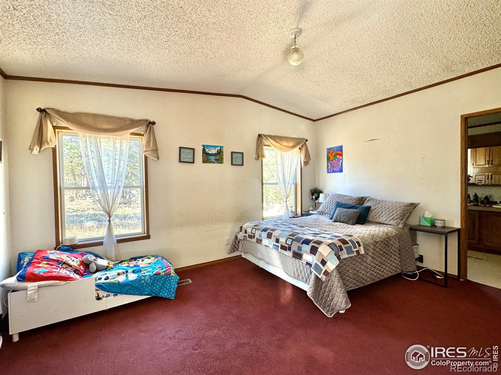 MLS Image #22 for 4393  green mountain drive,livermore, Colorado